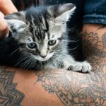 Het belang van nazorg bij een nieuwe tattoo: Tips voor een succesvolle genezing
